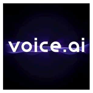Voice AI