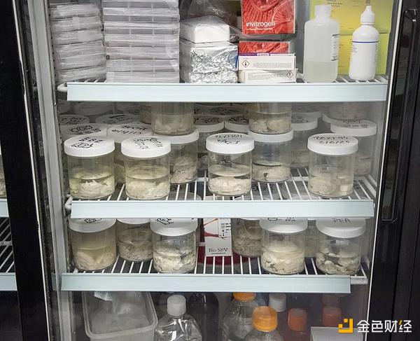 ǰEthereum @λ܃|f DƬ