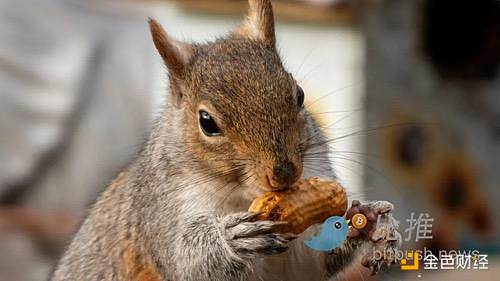 Meme츻Cһ̓oxؔΑDƬ